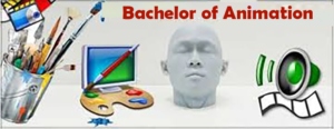 Bachelor of Animation