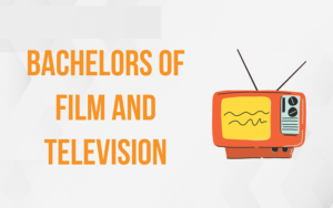 Bechelor of film and television