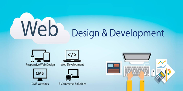 Web Design and Development